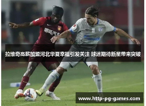 拉维奇高薪加盟河北华夏幸福引发关注 球迷期待新星带来突破
