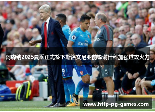阿森纳2025夏季正式签下斯洛文尼亚前锋谢什科加强进攻火力 阿森纳2025夏季正式签下斯洛文尼亚前锋谢什科加强进攻火力